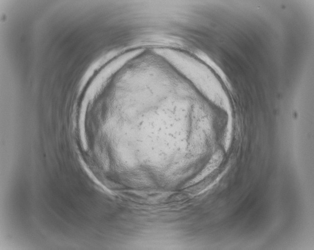 X0000085831477200704132025