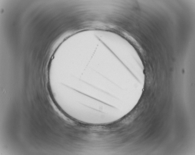 X0000085831479200704132025