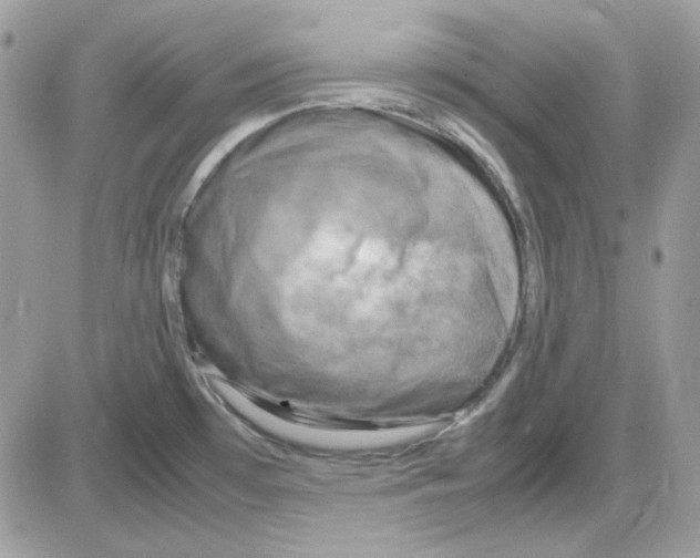 X0000085831481200704132025