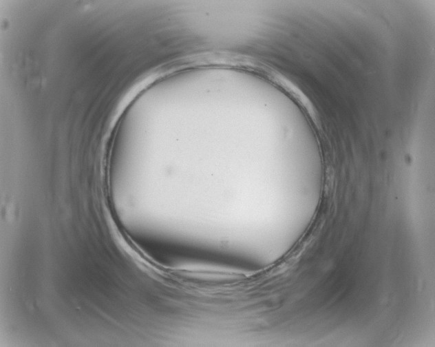X0000085831483200704132025