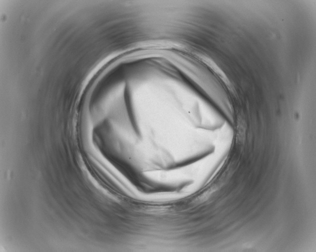 X0000085831484200704132025