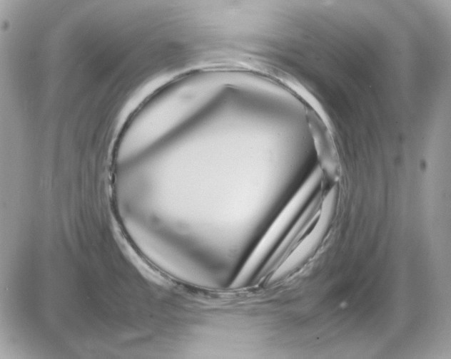 X0000085831485200704132025