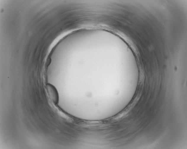 X0000085831486200704132025