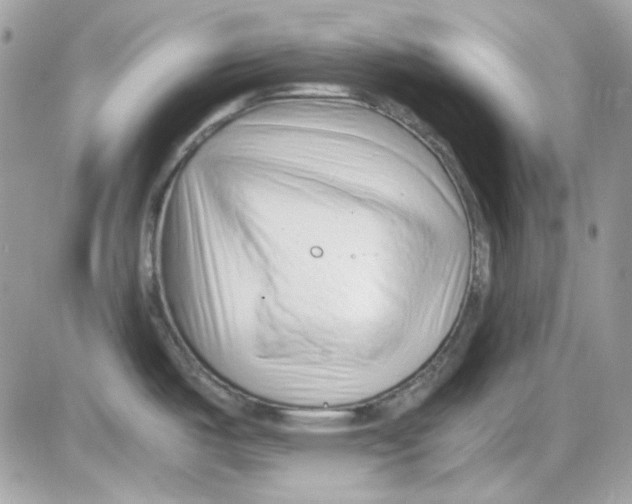 X0000085831487200704132025