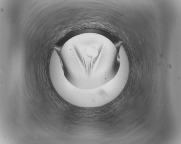 X0000085831489200704132024