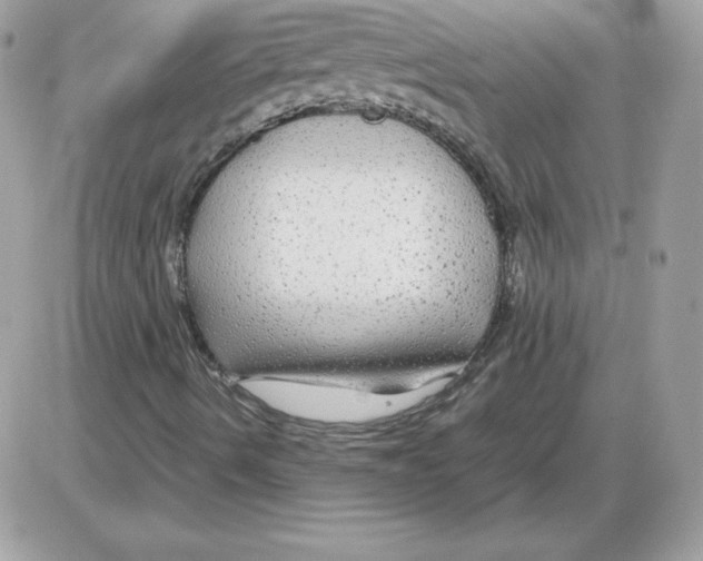 X0000085831490200704132024