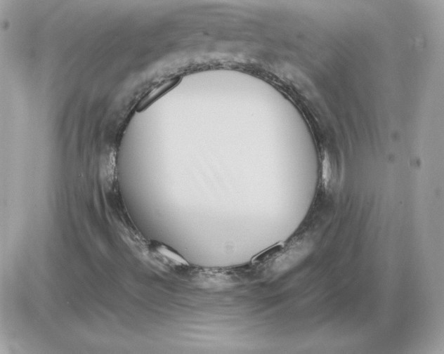 X0000085831492200704132024