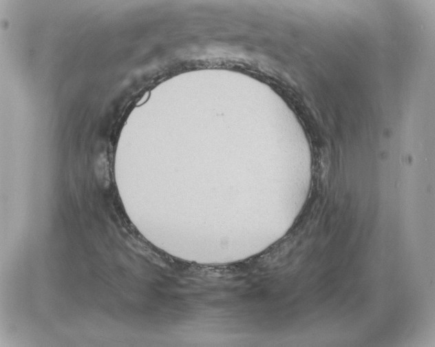 X0000085831493200704132024