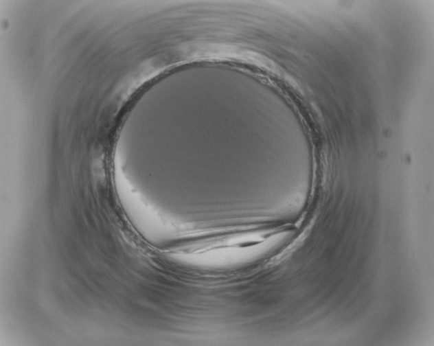 X0000085831497200704132024