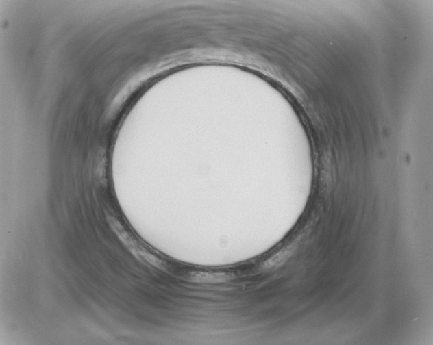 X0000085831499200704132024