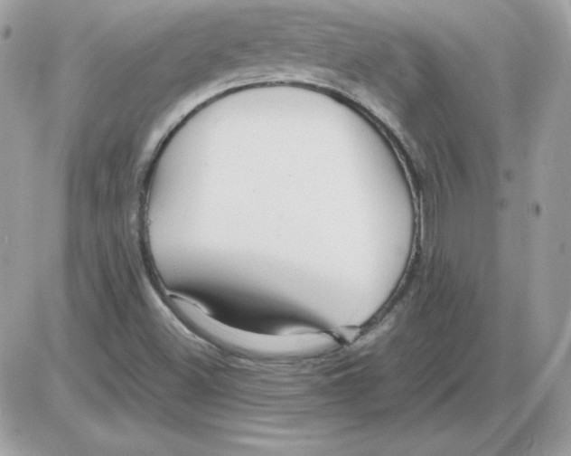 X0000085831500200704132024