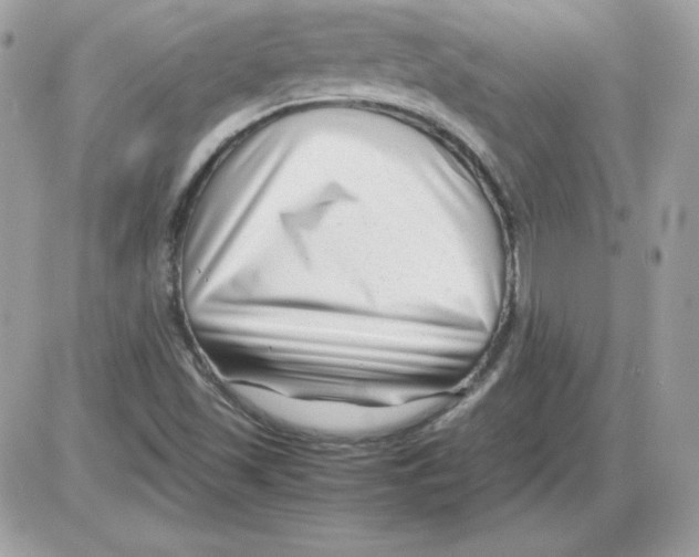 X0000085831501200704132024