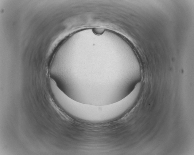 X0000085831507200704132024
