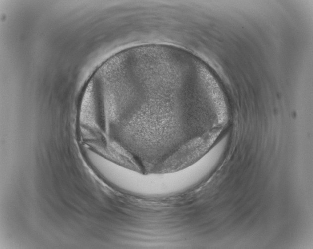X0000085831508200704132024
