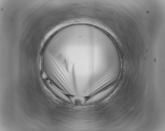 X0000085831510200704132024
