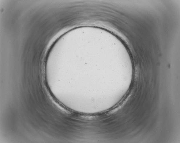 X0000085831517200704132024