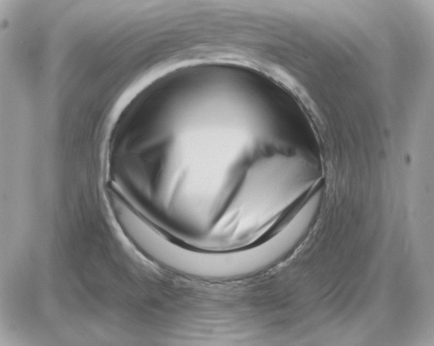 X0000085831520200704132024