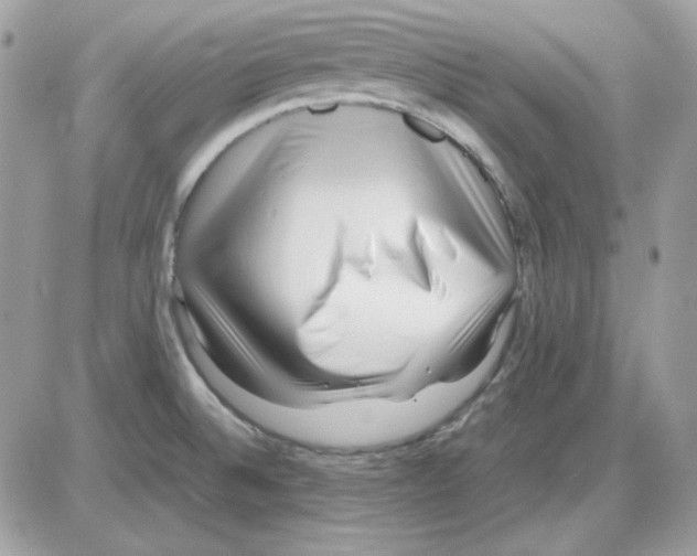 X0000085831524200704132024