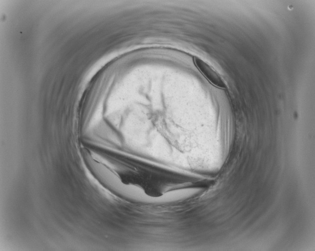 X0000085831527200704132024