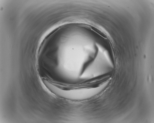 X0000085831528200704132024