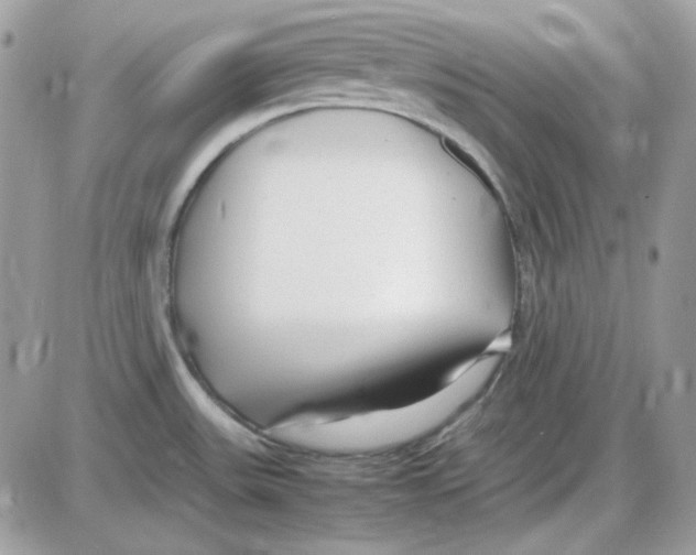 X0000085831531200704132025