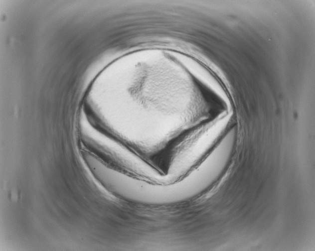 X0000085831533200704132025