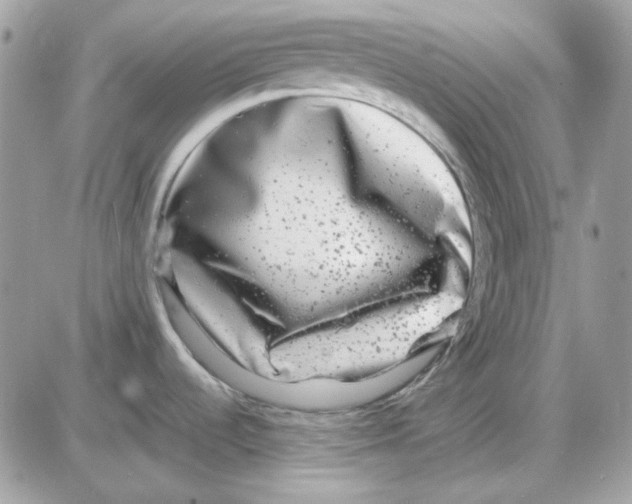 X0000085831536200704132025