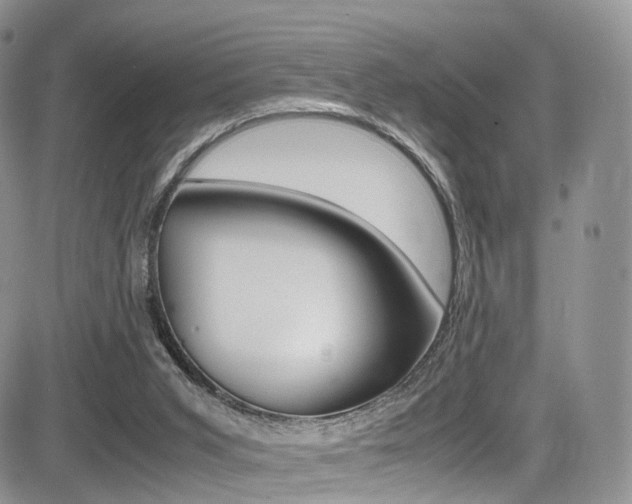 X0000085840015200703161108
