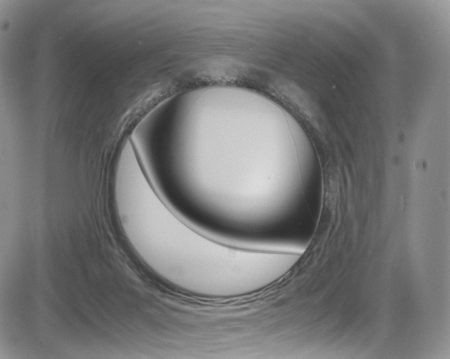 X0000085840023200703161107