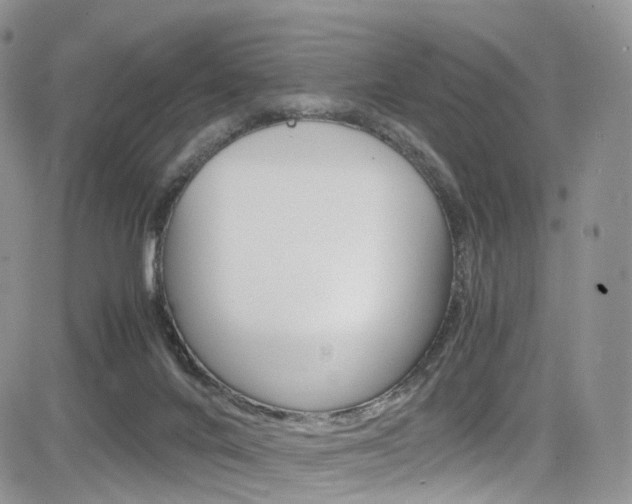 X0000085840024200703161107