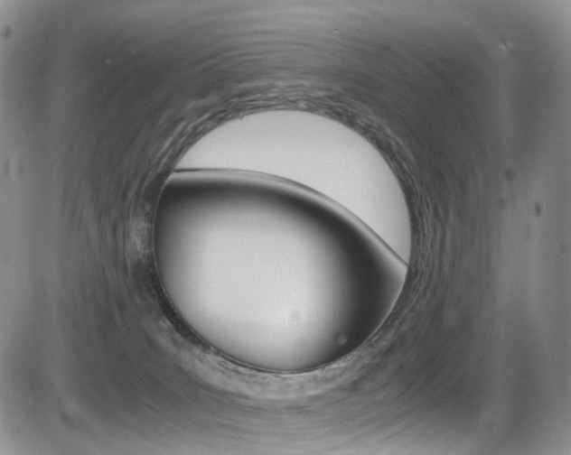 X0000085840035200703161107