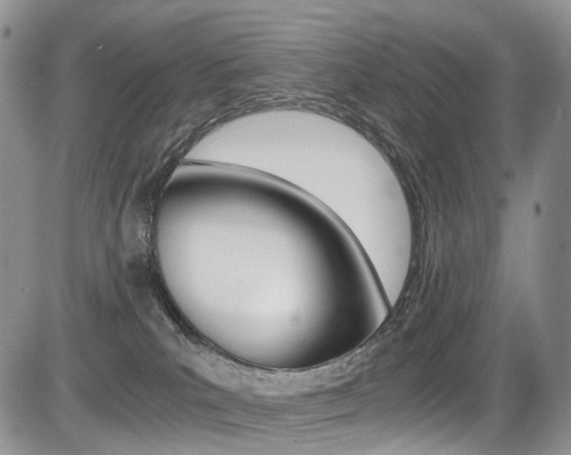 X0000085840039200703161107