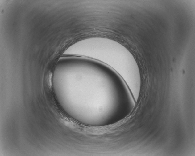 X0000085840041200703161107