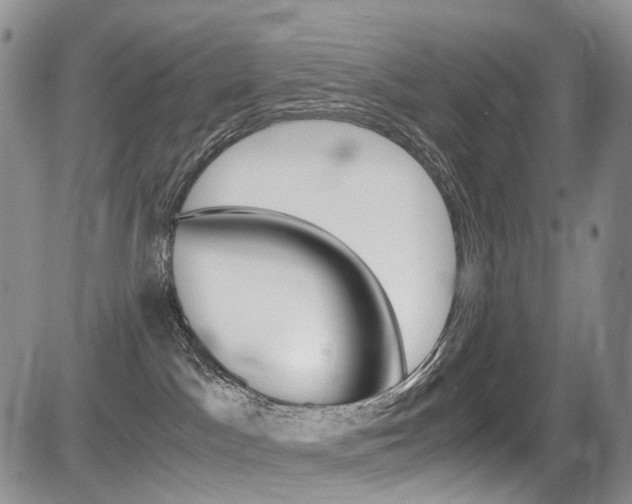 X0000085840045200703161107