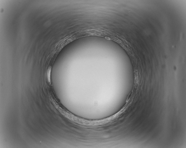 X0000085840047200703161107