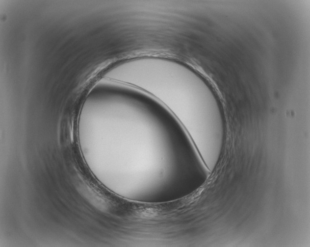 X0000085840062200703161106