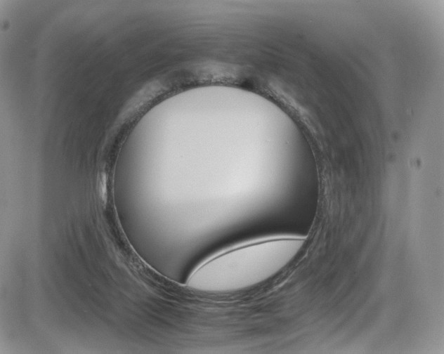 X0000085840067200703161107