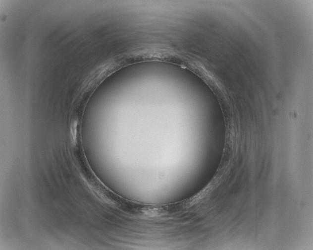 X0000085840070200703161107