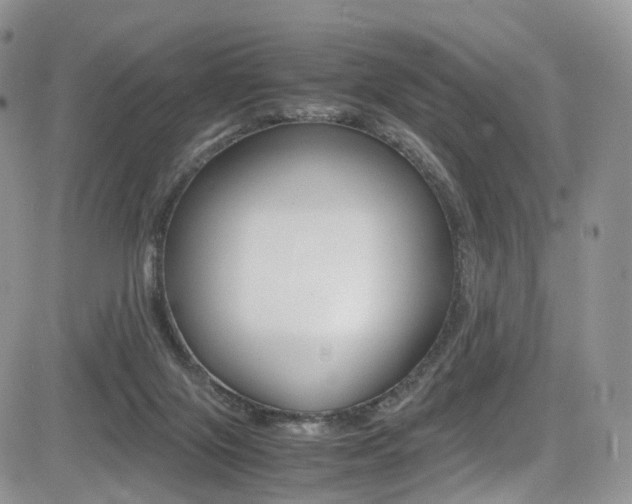 X0000085840071200703161107