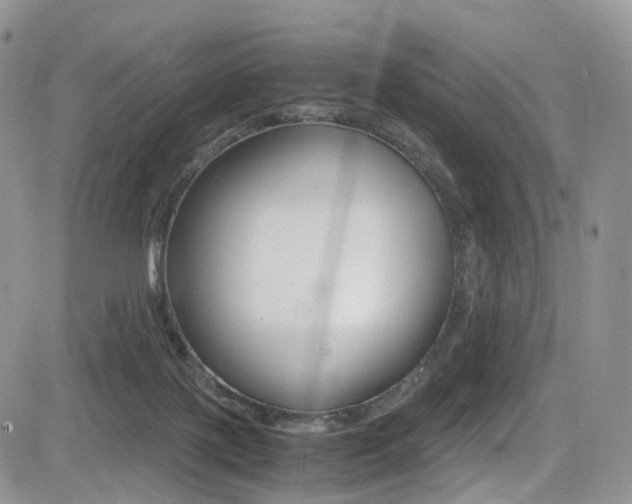 X0000085840075200703161107