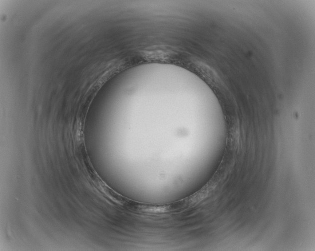 X0000085840081200703161107
