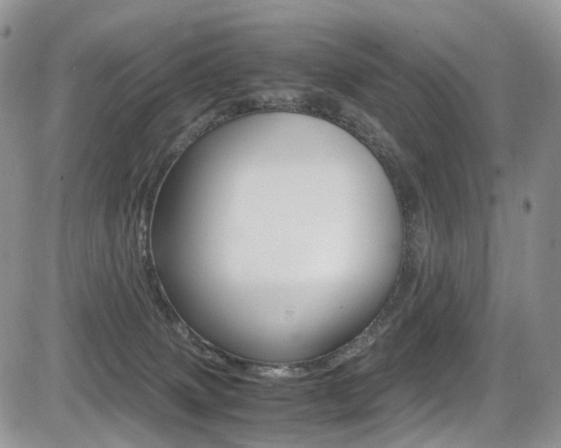 X0000085840083200703161107