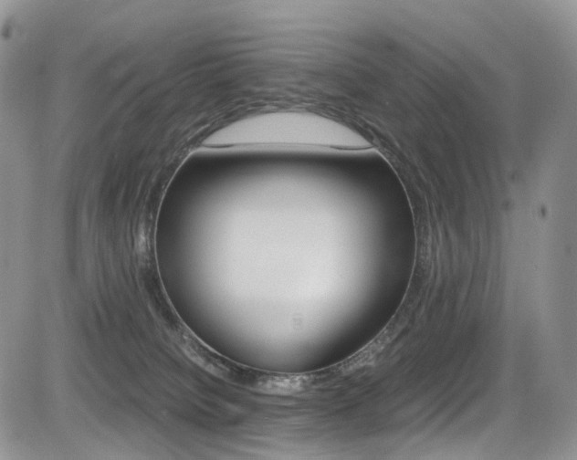 X0000085840084200703161107
