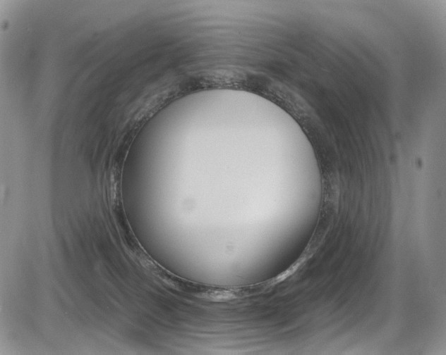 X0000085840086200703161107