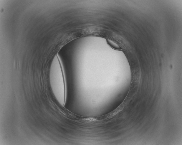 X0000085840087200703161107