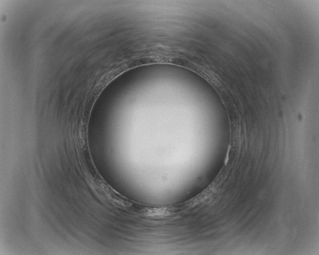 X0000085840088200703161107