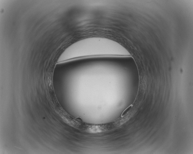 X0000085840091200703161107