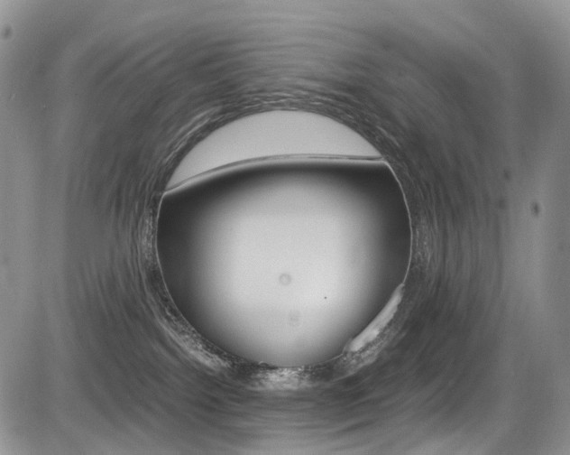 X0000085840092200703161107