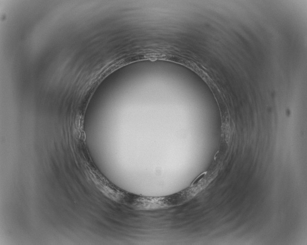 X0000085840093200703161107