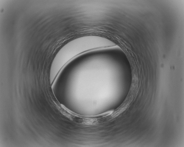X0000085840096200703161107